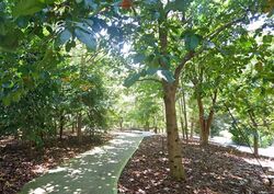 Bukit Timah Road (D21), Detached #621645461